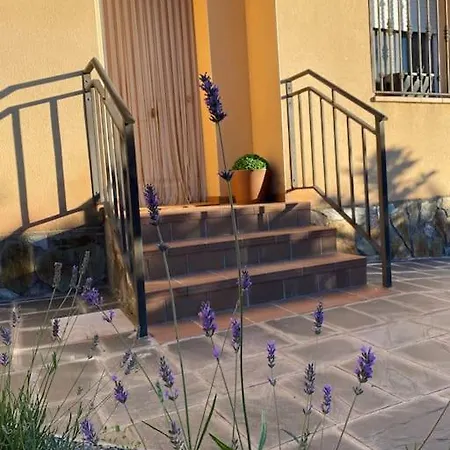 Luz De Luna * Zarzuela del Monte