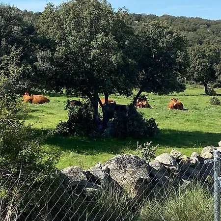 Luz De Luna Dom wakacyjny Zarzuela del Monte