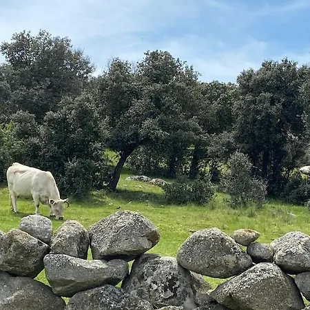 Dom wakacyjny Luz De Luna *