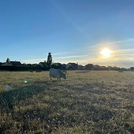 Dom wakacyjny Luz De Luna *